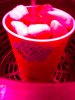 IMG_20150208_112700_740.jpg