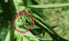 QuickMemo+_2015-02-11-11-47-31.png QuickMemo+_2015-02-11-11-47-31.png