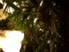 100_0430.jpg