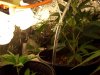 100_0419.jpg