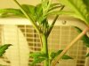 girl1-day10-2.jpg