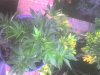 01-04-09_1602.jpg