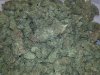 20150214_001121.jpg