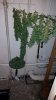 20141108_043500.jpg