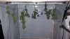 20150129_231419.jpg