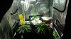 20150223_183236.jpg