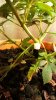 20150224_214701.jpeg