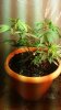 20150224_214711.jpeg