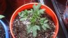 20150226_114431.jpg
