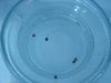 DSC02039.jpg