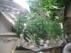 IMG_0482.jpg