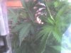01-05-09_1508.jpg