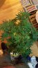 20150227_185010.jpg