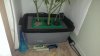 IMAG0387.jpg