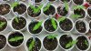 20150203_101229.jpg