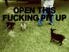 giphy[1].gif