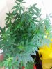 20150304_024023.jpg