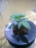 IMG_20150308_070033_714.jpg