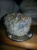 20150309_185335.jpg