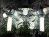 CFL-lights-02.jpg CFL-lights-02.jpg