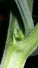 20150310_202600.jpeg