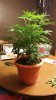 20150310_203139.jpeg