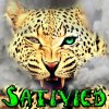 sativied_avatar(full)-2.jpg