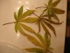 DSC01846.JPG