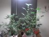 p_00067.jpg