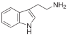 Tryptamine.png