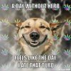 stoner-dog-meme-generator-a-day-without-herb-feels-like-the-day-i-ate-that-turd-6e837d.jpg