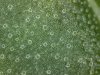 1503181927_13.jpg