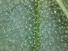 1503181928_17.jpg