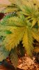 20150320_132637.jpg