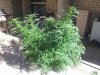 20150321_163723.jpg