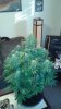20150110_164326.jpg
