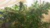 Screenshot_2015-03-23-23-17-23.png