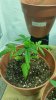 20150323_183505.jpg