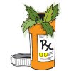 medical bud.jpg