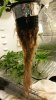 20150326_072520_resized.jpg