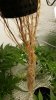 20150326_072205_resized.jpg