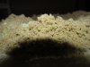 dry ice hash 5.JPG