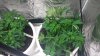 20150330_141210.jpg