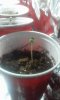 20150331_021249.jpg