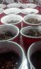 20150331_021309.jpg