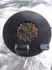 CAM00271.jpg