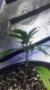 20150331_093335.jpg