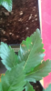 Screenshot_2015-04-01-13-09-34.png