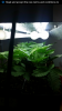 Screenshot_2015-04-01-13-09-09.png