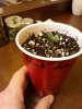 20150401_175645.jpg
